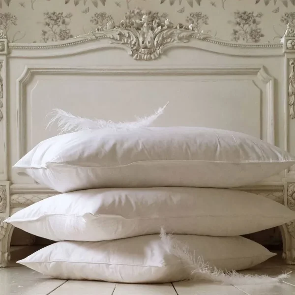 Set 2 Perne puf de gâscă 50x70cm Pucioasa