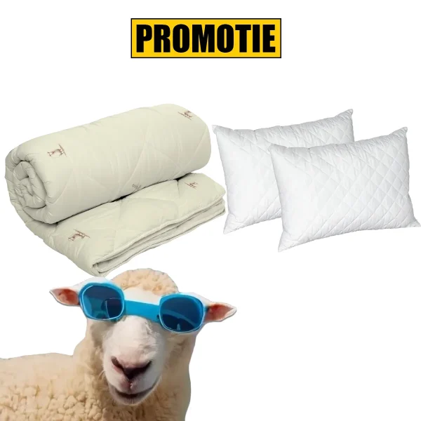 Set Pilota lână 200x220 cm 350 gr/mp + 2 Perne Puf Siliconizat 50x70 cm